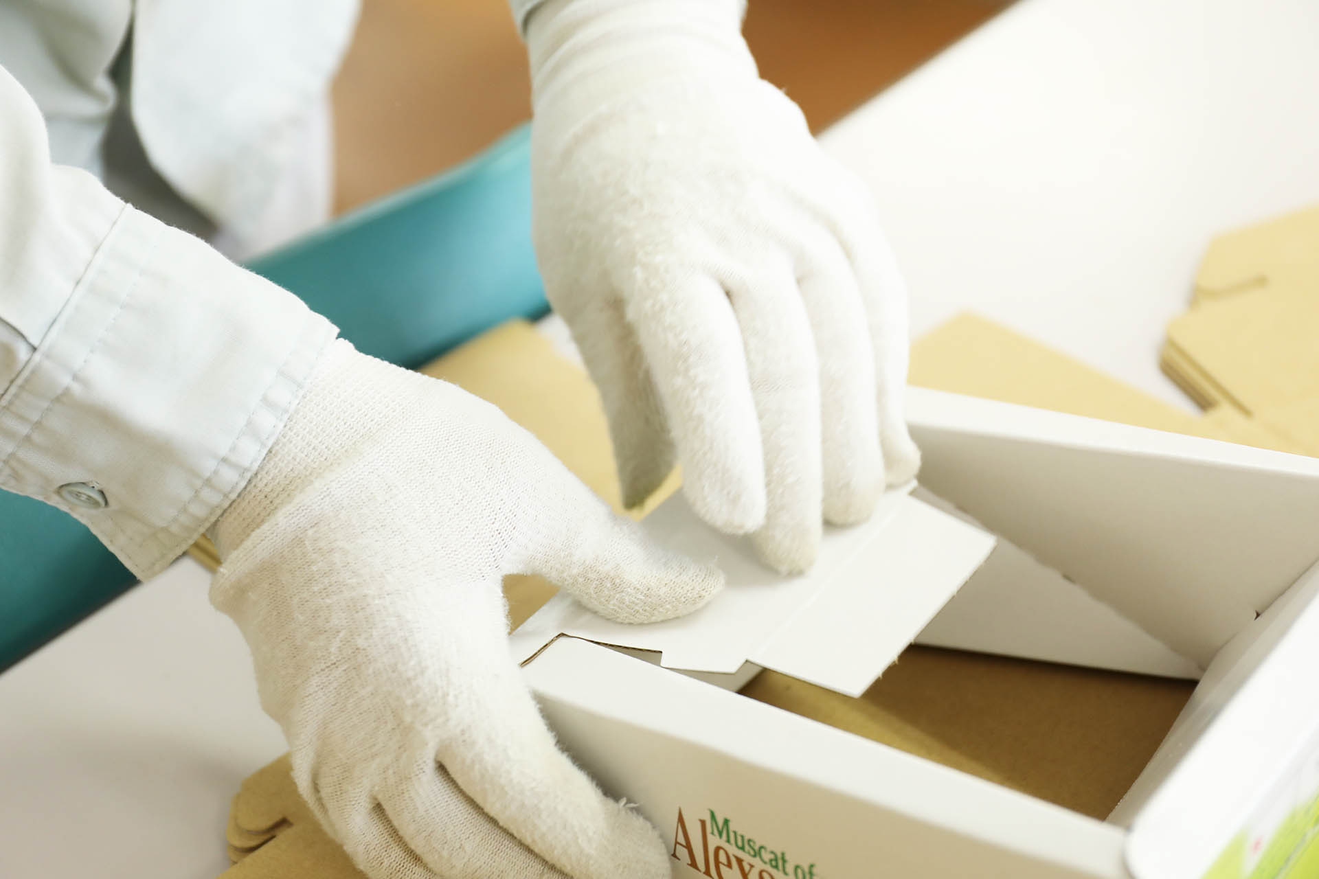 ごあいさつ画像